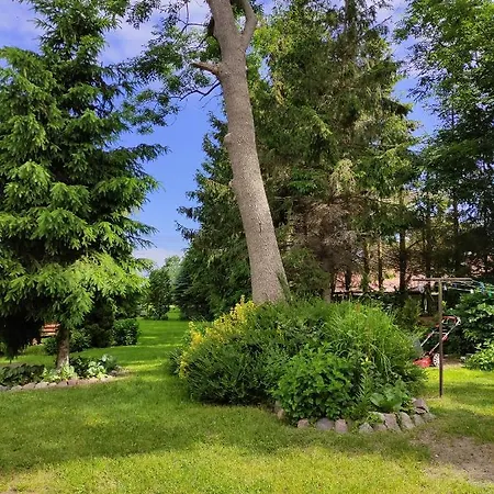 民宿 Pod Roza Ledzin