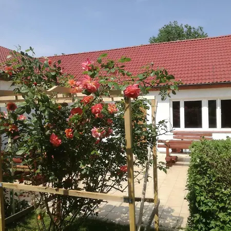 Pod Roza 民宿 Ledzin